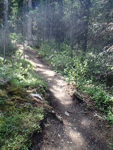 Trail after the braided stream section 