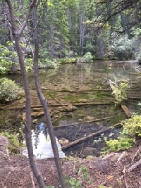 The First Grassi Lake