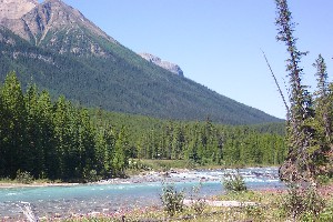 Looking back up river just after leaving the put in.