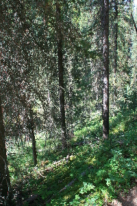 looking down into the creek valley