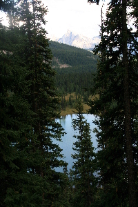 Looking down on Tower Lake