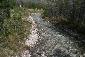 Vermilion River... A baby picture