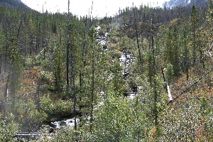 Stanley Creek