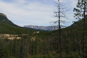 Castle Mountain in the background