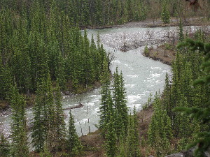 elbow river