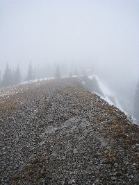 Along the ridge... there is a good view here somewhere I'm sure.