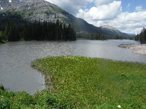Mud Lake 