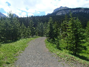 The trail at the start... Very heavily used, I think by park vehicles at times too