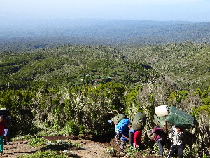 Porters doing the real work