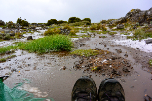 Stuck in the tent, in the river