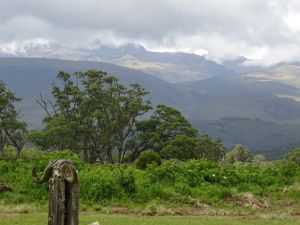 Scenery from the gate