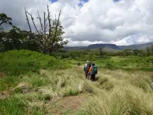 Walking towards the first camp