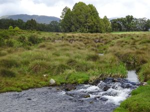 Scenery along the way