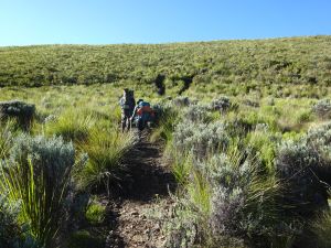 Hiking in grass land