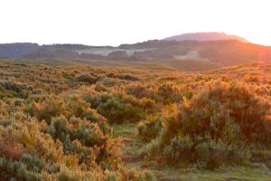 Sunrise at the Road Head Camp