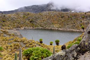 Small lake near the camp