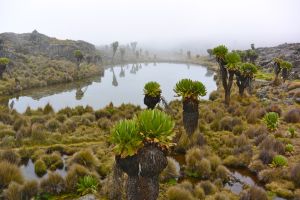 Beautiful lakes nearby