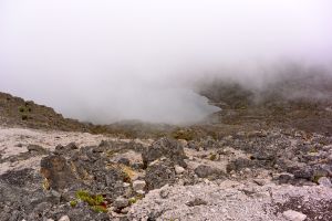 Nanyuki Tarn in fog