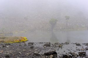 Hot Tarn in fog