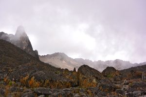 The peak on the left -- Pt Piggott