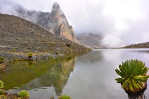 The hot Tarn and Giant Lobelia