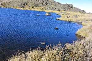 The Nanyuki Tarn in the morning