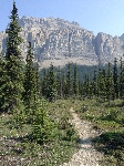 kt_IMG_1081.JPG