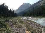 kt_IMG_1099.JPG