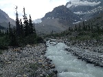 kt_IMG_1111.JPG