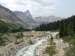 kt_IMG_1117.JPG