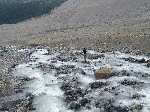 kt_IMG_1130.JPG