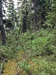 kt_IMG_1138.JPG