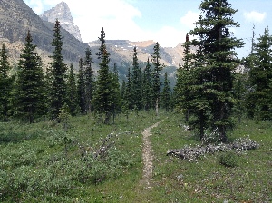 Getting close to the Henry McLeod camp site