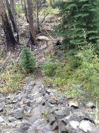 Side trail down to one of the old rock cook ovens