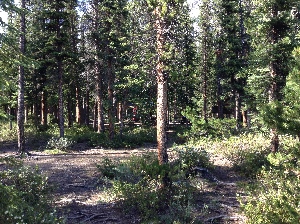 Fisherman's bay campsite 