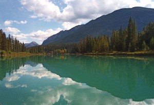 Reflections on the Bow