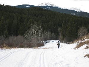 Mtn Road Trail, nearing Bridge over creek