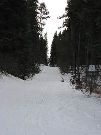 Jctn Sundog and Elbow Trail, Elbow branch