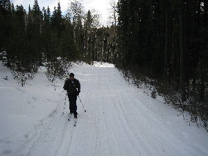 Iron Springs Trail: bit of a slog going up.