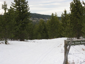 Itron springs Trail: Mostly down hill from here