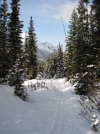 heading off down the trail