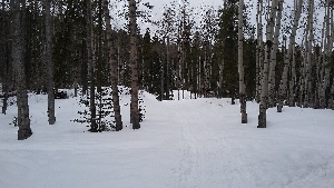 Telephone Loop at Snowhare jcn