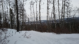 Bit of a view sometime after teh Disconnect Junction