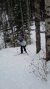 She said something like, 'Dad you're right skiing is hard work'